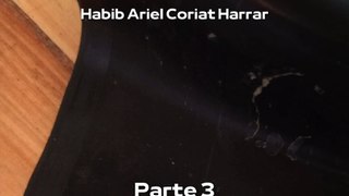 |HABIB ARIEL CORIAT HARRAR | ¿ADIÓS AL ARTE TRADICIONAL? (PARTE 3) (@HABIBARIELC)