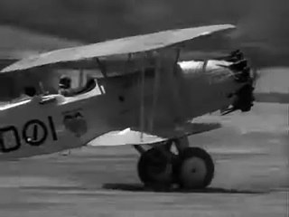 Flight 1929