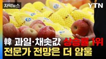 [자막뉴스] 韓 과일·채솟값 상승률 1위...전문가 전망은 더 '암울' / YTN