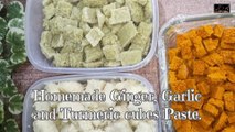 Boost Your Cooking with Homemade Ginger, Garlic, and Turmeric Paste! |Homemade cubes Paste.