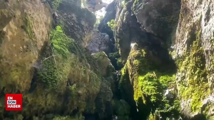 8 ilde Bölücü Terör Örgütü'ne operasyon