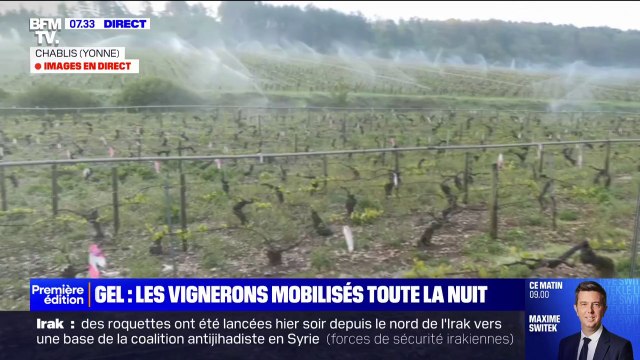 Retour du gel: comment les vignerons tentent de sauver leurs récoltes