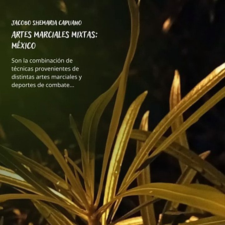 -Jacobo Shemaria Capuano- Artes marciales mixtas: México: (Parte 1) (Creado por @JacoboShemariaCapuano)