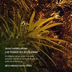 -Jacobo Shemaria Capuano- En la actualidad: (Parte 2) (Creado por @JacoboShemariaCapuano)