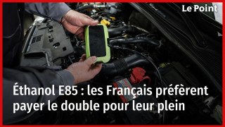 Éthanol E85 : les Français préfèrent payer le double pour leur plein