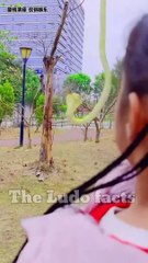 नकली सांप बना असली  ~ mini wood toy-wood working art skill wood _ hand crafts _ #shorts