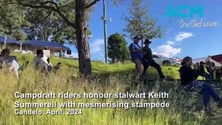 Campdraft riders honour stalwart Keith Summerell with mesmerising stampede