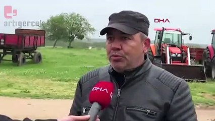 Çiftlikteki 3 çoban köpeği, zehirlenerek öldürüldü