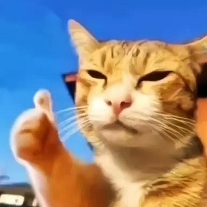 Creepy funny videos