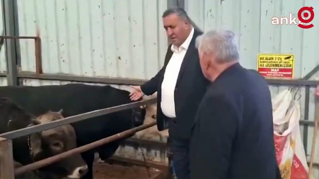 CHP Niğde Milletvekili Ömer Fethi Gürer: Geçen yıla göre kurban fiyatları yüzde 100 arttı