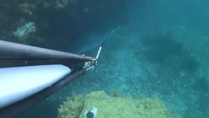 Çanakkale'de sevindiren görüntü