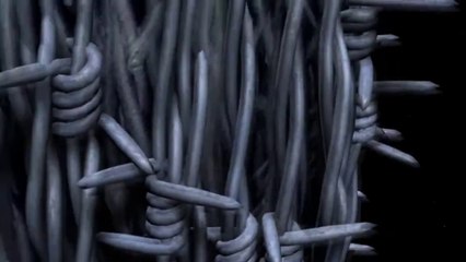 Unveiling the Hidden Cruelty of Global Politics 🌍