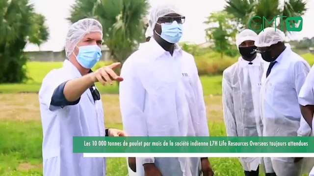 [#Reportage] Gabon : les 10000 tonnes de poulet par mois de la société indienne L7H Life Resources Overseas toujours attendues