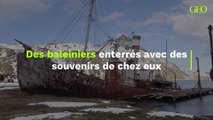 Des baleiniers du XVIe siècle ont été enterrés avec des souvenirs de chez eux