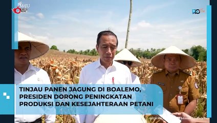 Presiden Dorong Peningkatan Produksi dan Kesejahteraan Petani Melalui Tinjauan Panen Jagung di Boalemo