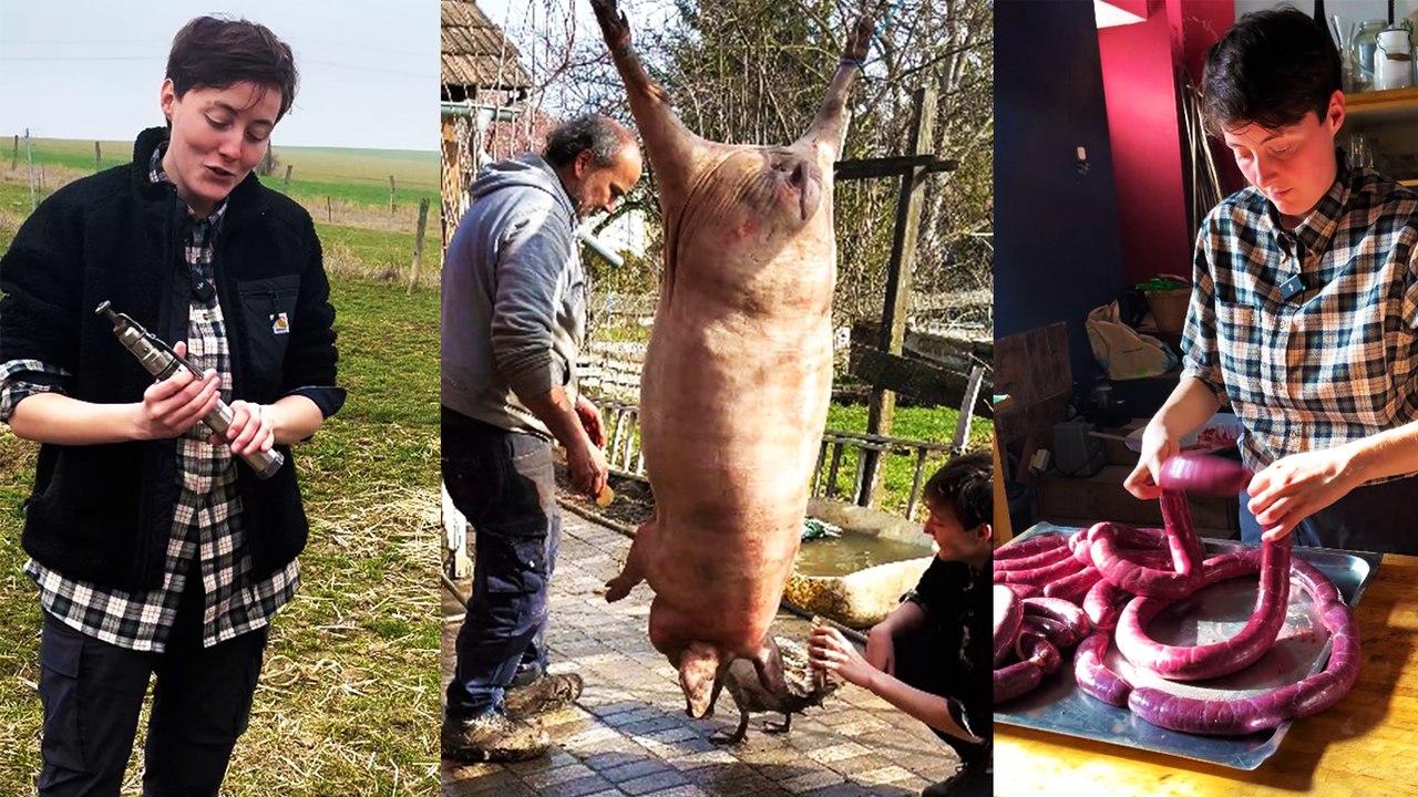 Selbstversuch: Ein Schwein schlachten