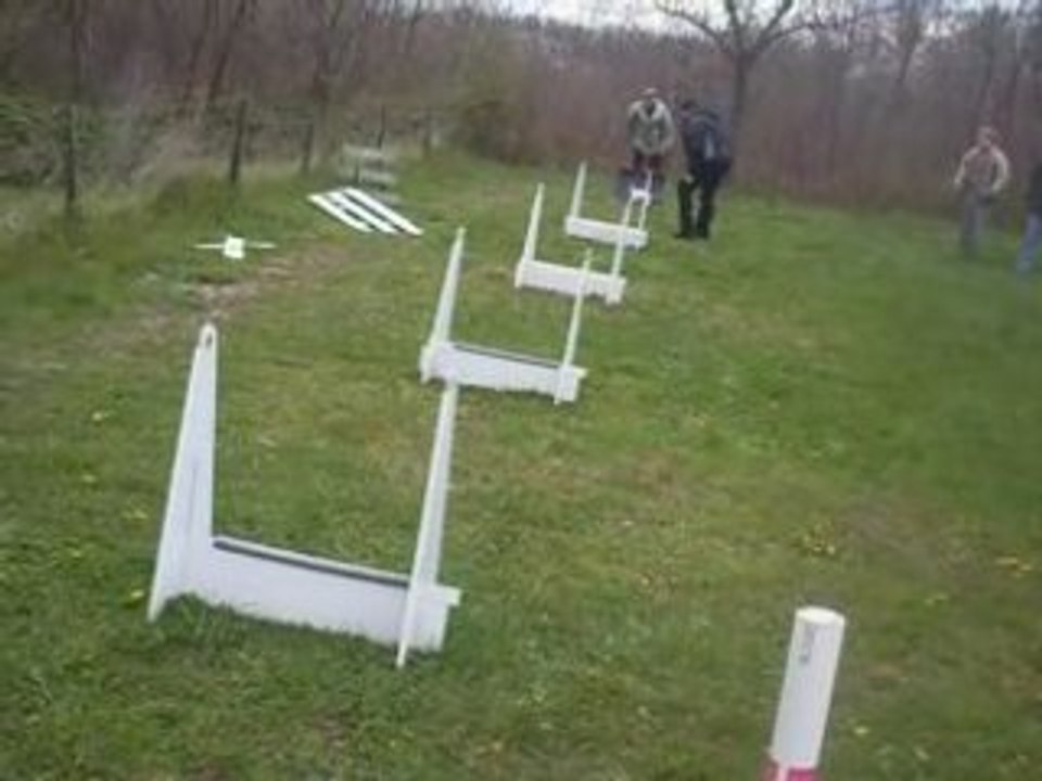 flyball Amy