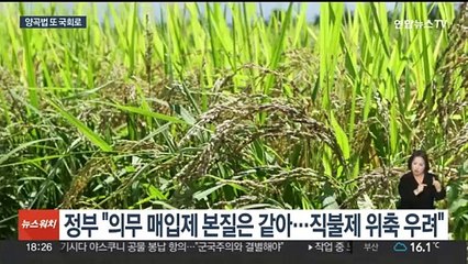 남는 쌀 어떻게 하나…'제2 양곡법' 입법 논란 가열