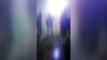 Il video dei danni nell'istituto Belluzzi Fioravanti di Bologna: estintori svuotati e fuga degli studenti