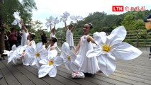 「新竹遶桐花-桐聚時光村」4/27開跑 漫步十二寮體驗在地人文