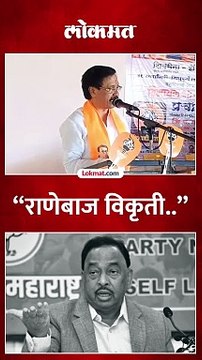 “राणेबाज विकृती..”, विनायक राऊत नेमकं काय म्हणाले?