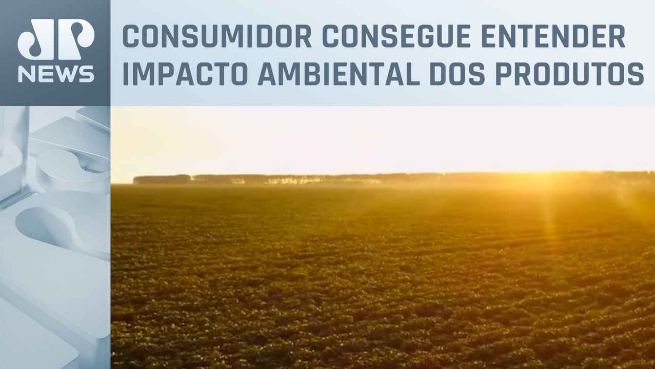 Conheça a sustentabilidade e transparência no mundo da moda