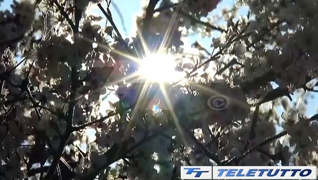 Video News - Primavera di neve nelle valli e freddo in pianura