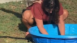 Pet Goose Tries to Push Woman Into Tub