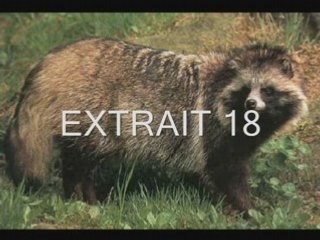 BT-BT(jeux)