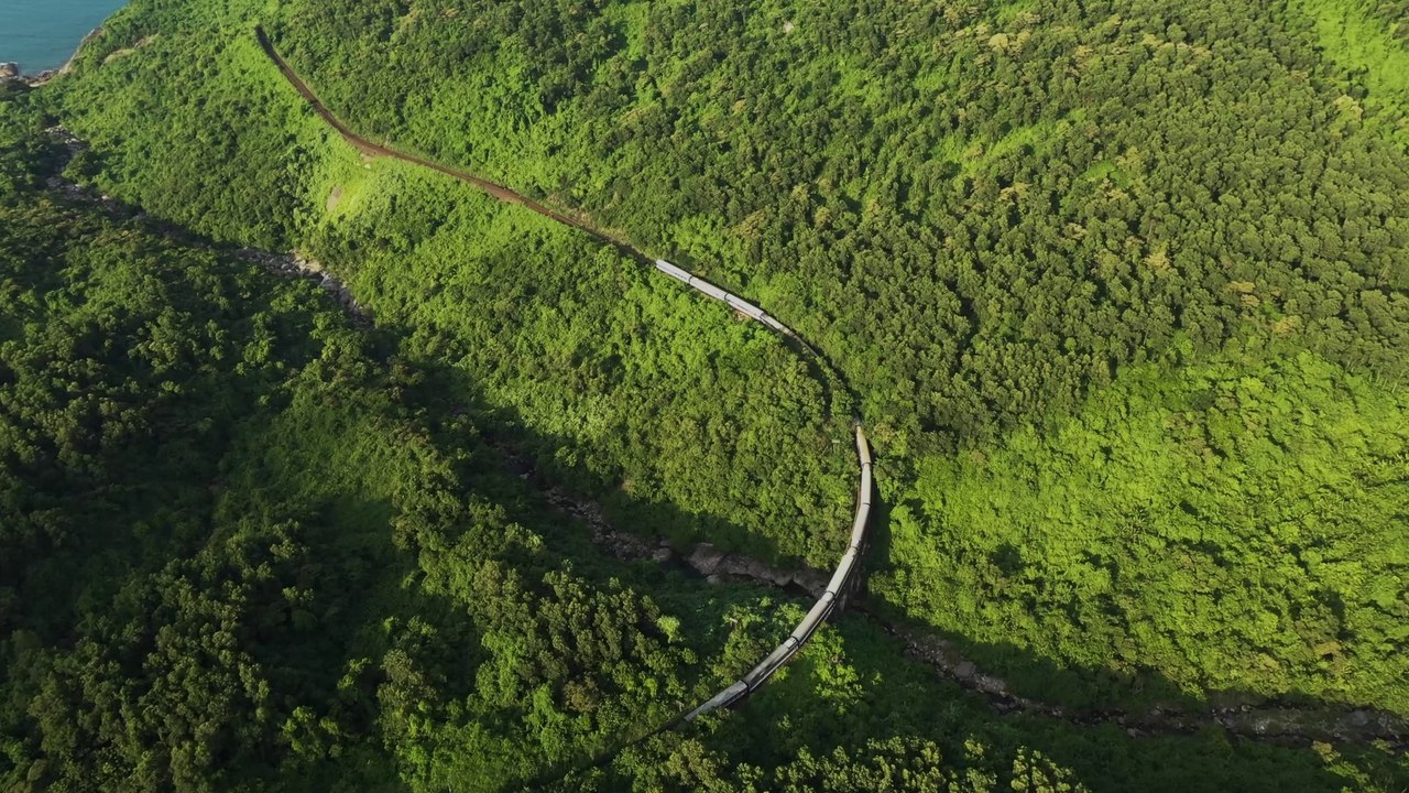 Forest Train