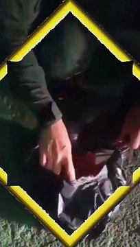 Bebê recém-nascido é encontrado dentro de sacola em rua de Fortaleza; vídeo