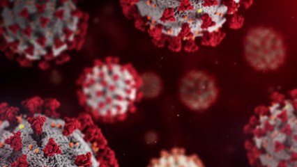 613 Mann kämpft 613 Tage gegen COVID-19 und stirbt nach 50 Mutationen im Körper 🦠