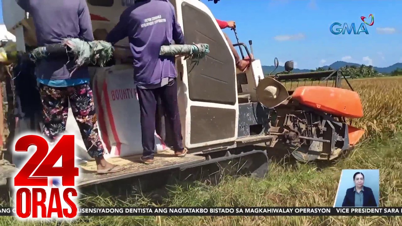 NFA, sinimulan na ang pagbili ng palay sa mga magsasaka sa mas mataas na presyo | 24 Oras