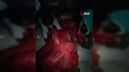 Yalova’da 1 Ton 150 Kilo Kaçak Midye Ele Geçirildi