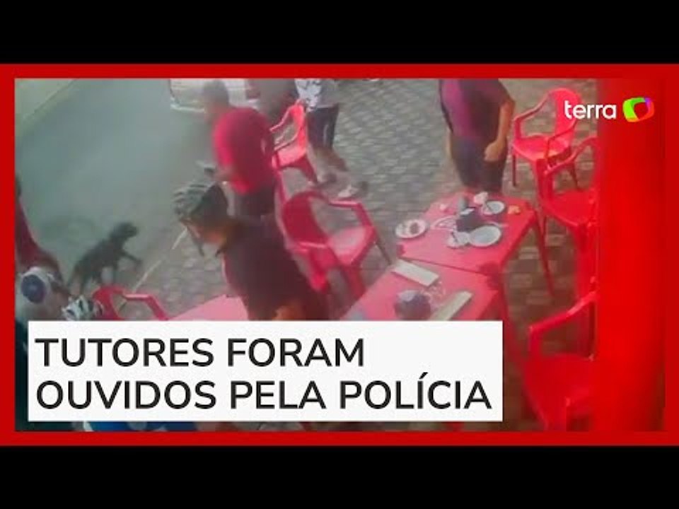 Pitbull ataca e mata cadela shih tzu no litoral...