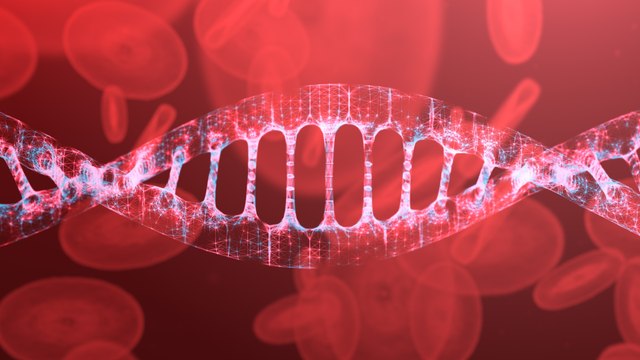 Forscher finden heraus: Dieses Bakterium hat es auf menschliches Blut abgesehen