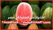 تحذيرات من البطيخ في مصر بسبب 