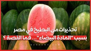 تحذيرات من البطيخ في مصر بسبب "المادة البيضاء"... فما القصة ؟