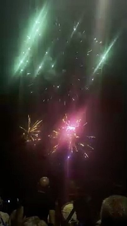 Le Feu d’artifice du 14 juillet Grenoble  Parc Jean-Verlhac Villeneuve #france #grenoble #show (13)