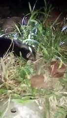 pantot angvtawag nito sa amin