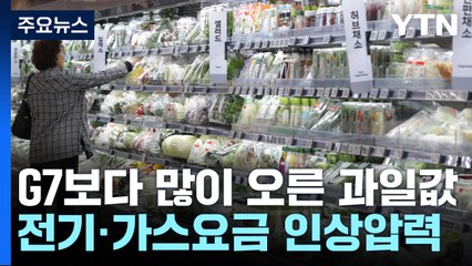"한국 과일·채솟값, G7·타이완보다 많이 올랐다" / YTN