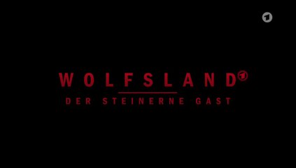 Wolfsland -03- Der steinerne Gast: Spannender Fall im Mysteriösen Dorf 🕵️‍♂️
