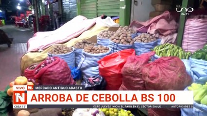 ¿Cuál es el Precio Actual de la Cebolla en el Mercado Abasto? 🧅