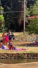 Macacos fazem arrastão na Água Mineral