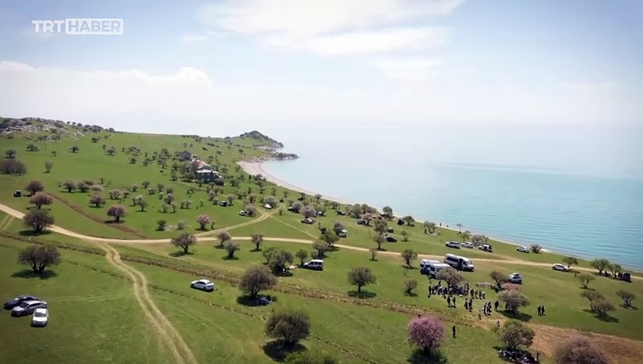 Ters laleler, martılar... İşte ilkbaharda renklenen Çarpanak Adası