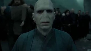 Harry Potter Is Alive - Harry Potter And The Deathly Hallows Part 2