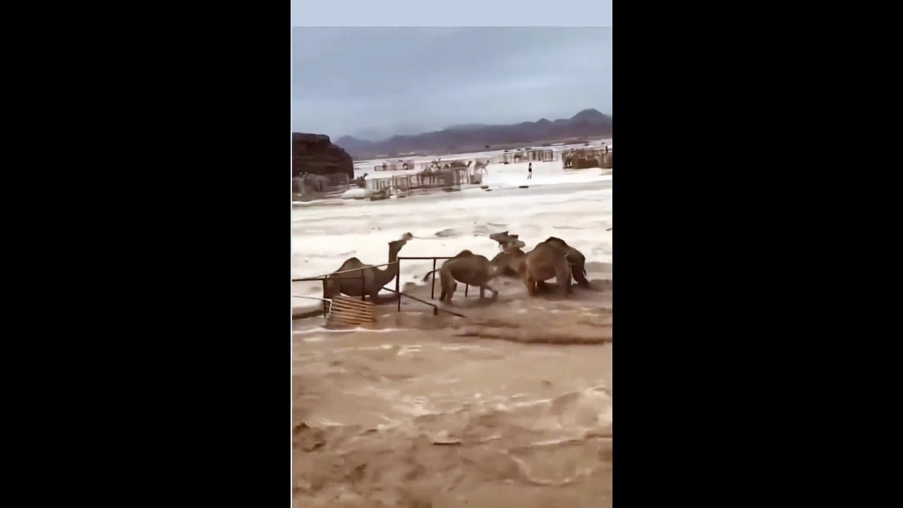 Inondation impressionnante en Arabie saoudite