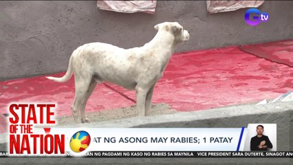 8 nakagat ng asong may rabies; 1 patay | SONA