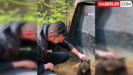 Ormandan şehre inen yavru ayı maskot oldu