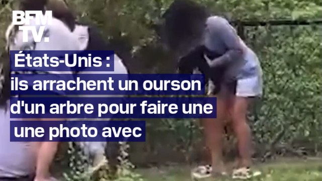 États-Unis: ils arrachent des oursons d'un arbre pour prendre une photo avec